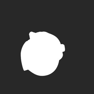 extracted_plate_no_light_11.png