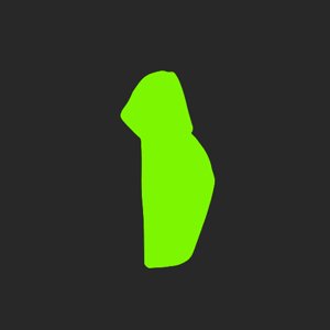 extracted_plate_no_light_12.png