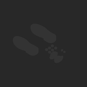 extracted_plate_no_light_6_1.png
