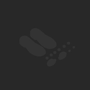 extracted_plate_no_light_5_2.png