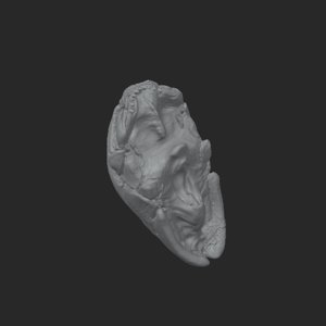 extracted_plate_3.png
