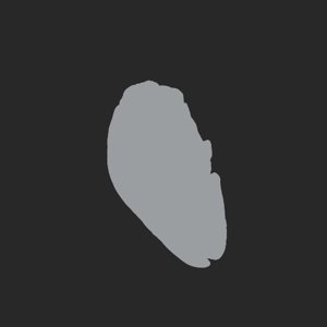 extracted_plate_no_light_3.png