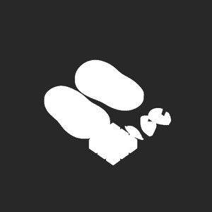 extracted_plate_no_light_4.png