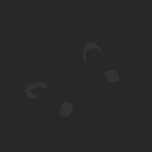 extracted_plate_no_light_8.png