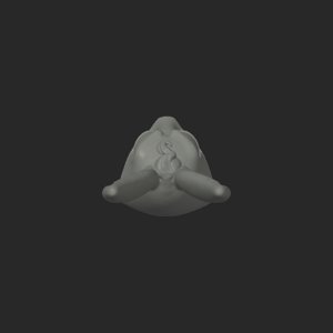 extracted_top_1_1.png