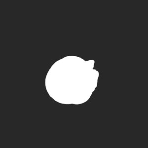 extracted_plate_no_light_3.png