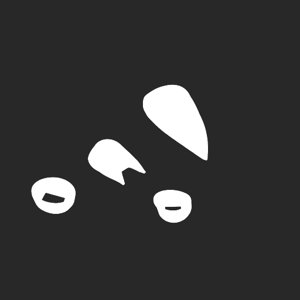 extracted_plate_no_light_13.png