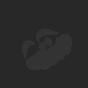 extracted_plate_no_light_1.png