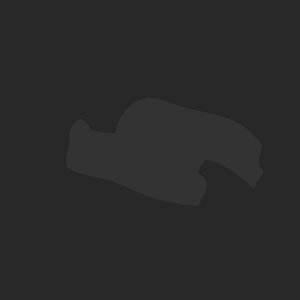 extracted_plate_no_light_2.png