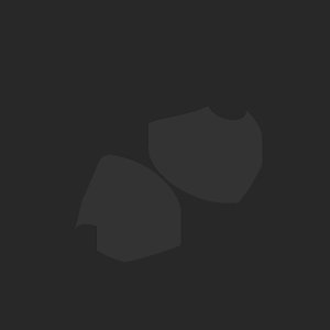 extracted_plate_no_light_1.png