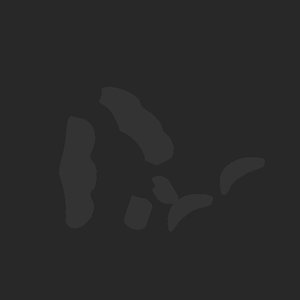 extracted_plate_no_light_3.png