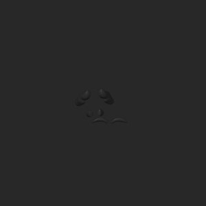 extracted_top_3.png