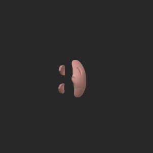 extracted_top_5.png