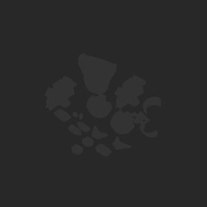 extracted_plate_no_light_4.png