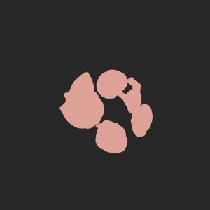 extracted_plate_no_light_1.png
