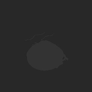 extracted_plate_no_light_5.png