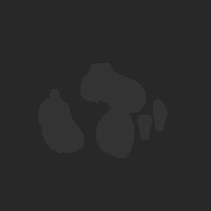 extracted_plate_no_light_2.png