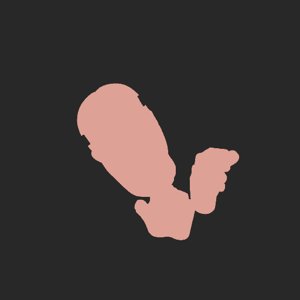 extracted_plate_no_light_5.png