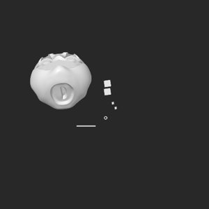 extracted_top_5.png