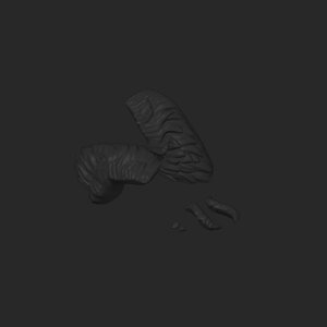 extracted_plate_3.png