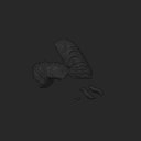 extracted_plate_3_small.png