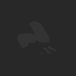 extracted_plate_no_light_3.png