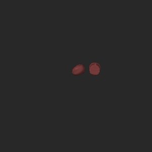 extracted_top_2.png