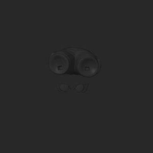 extracted_top_1.png