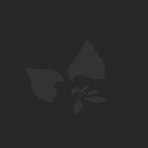 extracted_plate_no_light_1.png