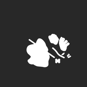 extracted_plate_no_light_1.png