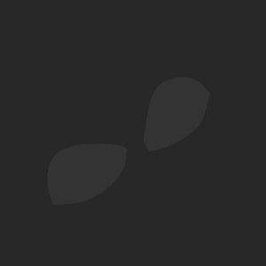 extracted_plate_no_light_3.png