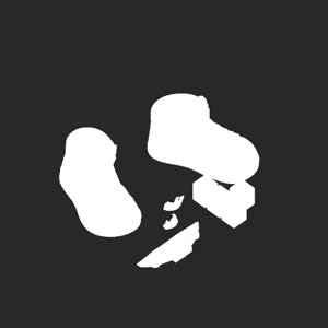 extracted_plate_no_light_2.png