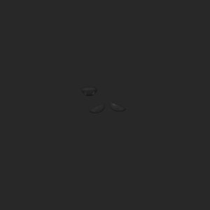 extracted_top_2.png