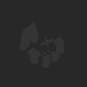 extracted_plate_no_light_2.png