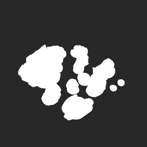 extracted_plate_no_light_1.png