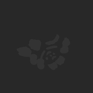 extracted_plate_no_light_4.png