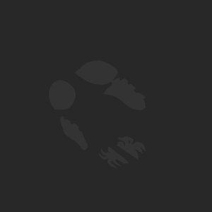 extracted_plate_no_light_1.png