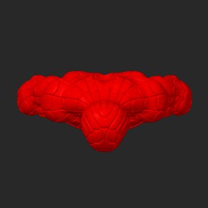 extracted_top_4.png