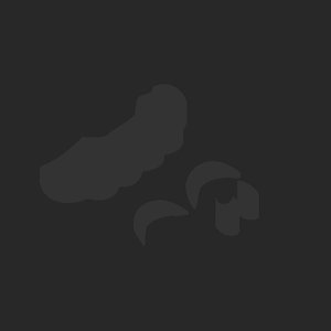 extracted_plate_no_light_2.png