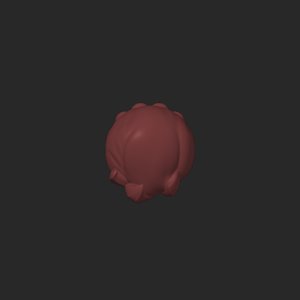 extracted_top_1.png