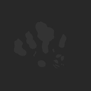 extracted_plate_no_light_1.png