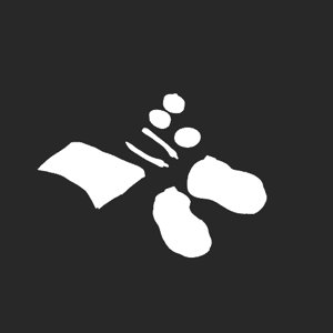 extracted_plate_no_light_5.png