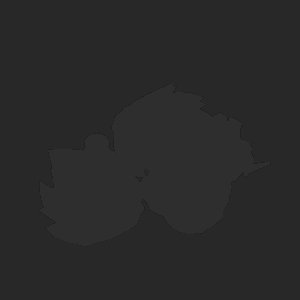 extracted_plate_no_light_2.png