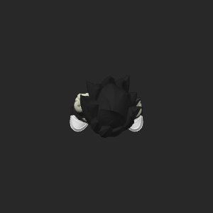 extracted_top_1.png