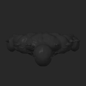 extracted_top_1.png