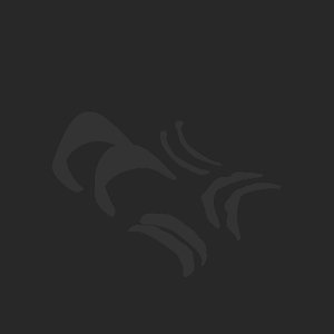 extracted_plate_no_light_4.png