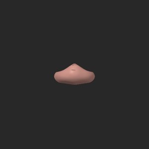 extracted_top_5.png