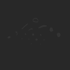 extracted_plate_no_light_5.png