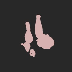 extracted_plate_no_light_5.png