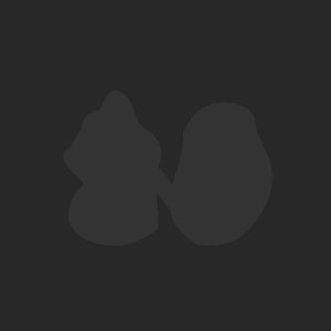 extracted_plate_no_light_2_1.png
